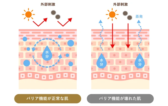ざらつき・乾燥が起こる原因の図解